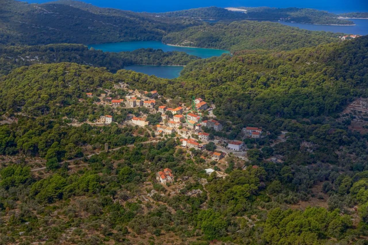 Agriculture & Holiday House Lasko Говедари Экстерьер фото